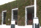 Carpendeitgreen-walls-3.jpg; ?>